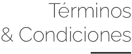 Términos & Condiciones Términos & Condiciones
